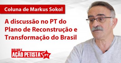Coluna Sokol - plano reconstrucao