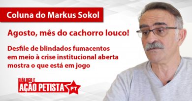 Capa - Markus Sokol - Agosto, mës do cachorro louco