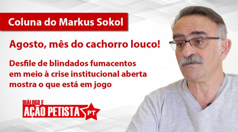 Capa - Markus Sokol - Agosto, mës do cachorro louco